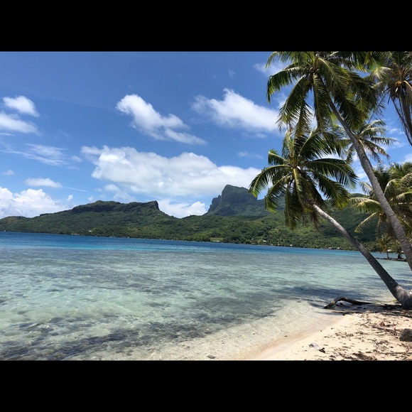 Meet your Posher, Sarah - Picture 3 of 3